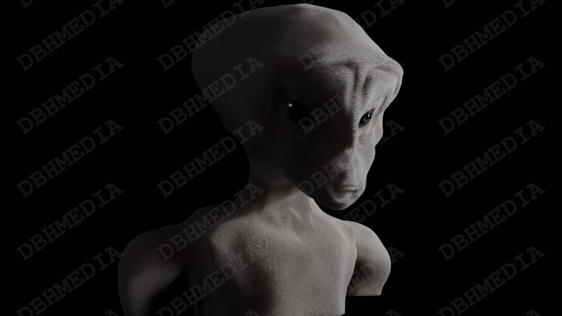 3D Graphics: Modeling/character Design