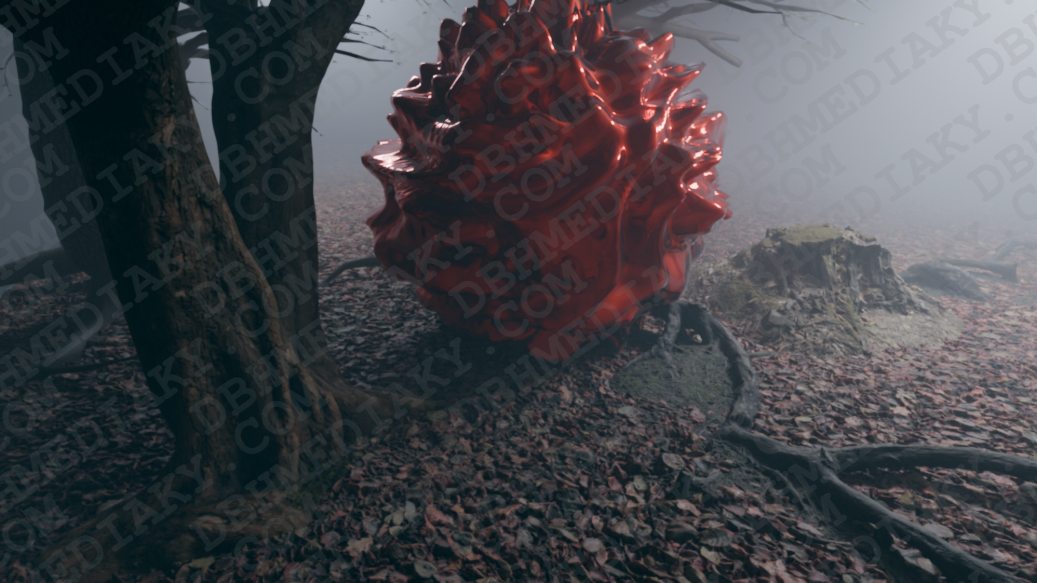 3D Graphics