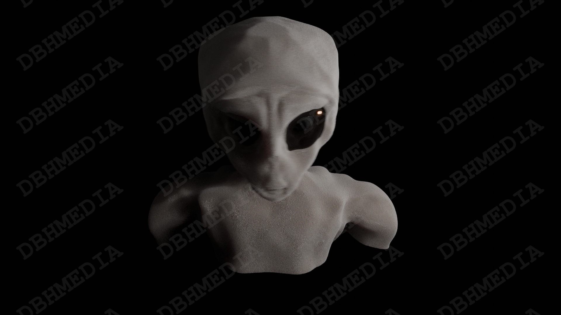 3D Graphics: Modeling/character Design